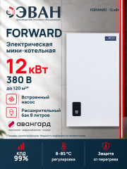 Электрический котел ЭВАН FORWARD 12